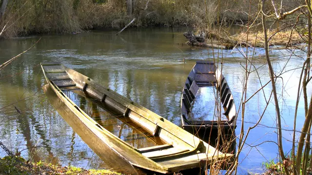 Zwei Holzboote auf dem Altrhein.